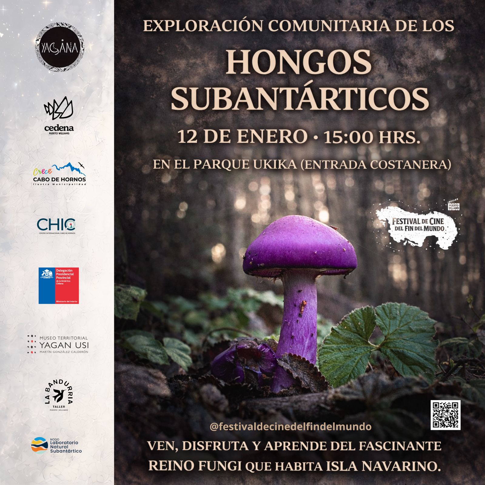 Poster de Hongos subantárticos